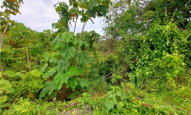 VENTA FINCA O TERRENO EN BOCAS DEL TORO ISLA COLON 3.5 HECTREAS