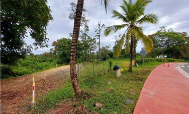 VENTA FINCA O TERRENO EN BOCAS DEL TORO ISLA COLON 3.5 HECTREAS