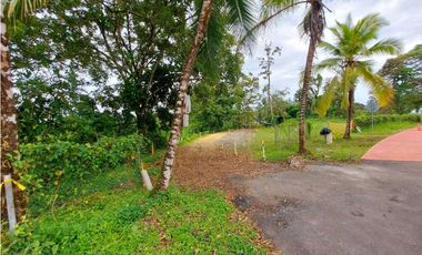 VENTA FINCA O TERRENO EN BOCAS DEL TORO ISLA COLON 3.5 HECTREAS