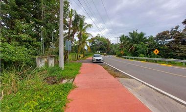 VENTA FINCA O TERRENO EN BOCAS DEL TORO ISLA COLON 3.5 HECTREAS