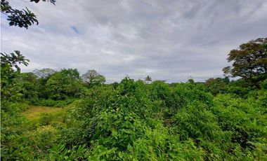 VENTA FINCA O TERRENO EN BOCAS DEL TORO ISLA COLON 3.5 HECTREAS