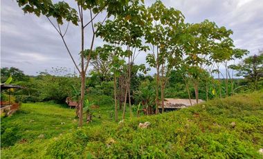 VENTA FINCA O TERRENO EN BOCAS DEL TORO ISLA COLON 3.5 HECTREAS