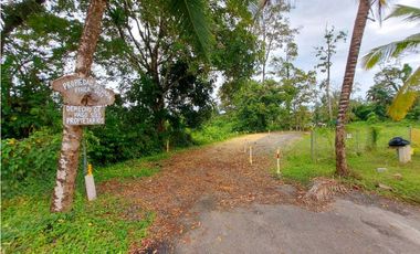 VENTA FINCA O TERRENO EN BOCAS DEL TORO ISLA COLON 3.5 HECTREAS