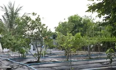 Land for sale in Phaniat, Nakhon Pathom