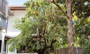 3 Bedroom House for sale in Rop Wiang, Chiang Rai
