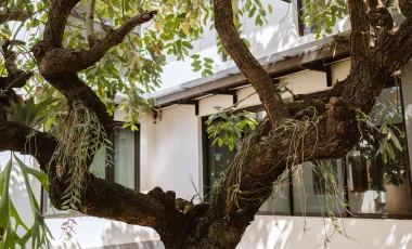 3 Bedroom House for sale in Rop Wiang, Chiang Rai