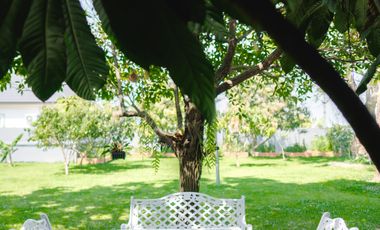 3 Bedroom House for sale in Rop Wiang, Chiang Rai