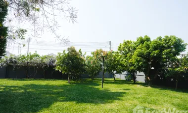 3 Bedroom House for sale in Rop Wiang, Chiang Rai