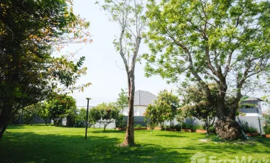 3 Bedroom House for sale in Rop Wiang, Chiang Rai