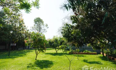 3 Bedroom House for sale in Rop Wiang, Chiang Rai