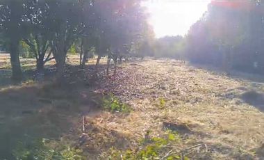 Parcela en venta en VILLARRICA