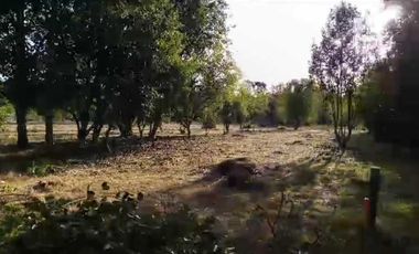 Parcela en venta en VILLARRICA