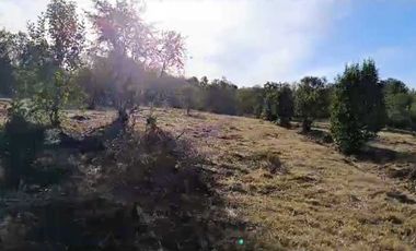 Parcela en venta en VILLARRICA