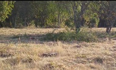 Parcela en venta en VILLARRICA