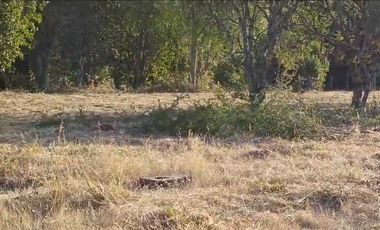 Parcela en venta en VILLARRICA