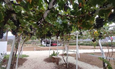 Parcela en venta en COQUIMBO
