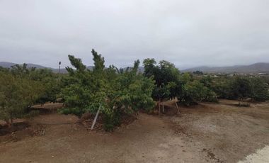 Parcela en venta en COQUIMBO