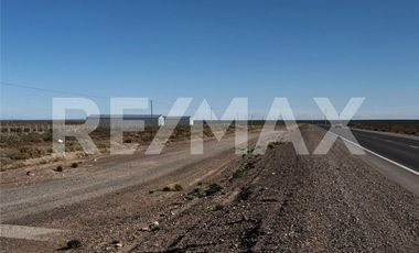 Alquiler de Dos hectáreas. Ruta 67 y 51 Centenario