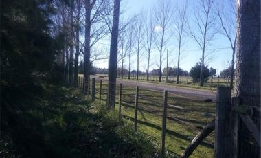 TERRENO EN CHACRAS DE ABBOTT  FRENTE A LA LAGUNA