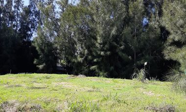 VENTA LOTE 486 M2 EN ZONA LA PISTA ING. MASCHWITZ