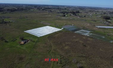 Campo 15 Hectáreas En Venta Florencio Varela