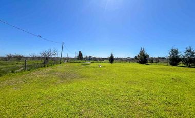 Casa 2 Dormitorios en Venta en Berisso con Pileta