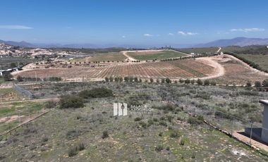 3315 m2 CON VISTA EN ALTURA entre DOÑA ESTHELA y Carretera El Tigre-Zarco