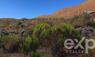 Parcela en Venta en El peñón , quebrada de Martínez , Andacollo