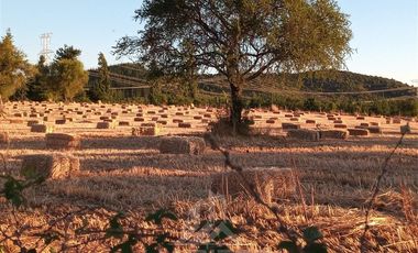 Parcela en Venta en SECTOR CARRIZALILLO ACCESO POR K 25