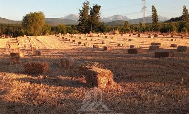 Parcela en Venta en SECTOR CARRIZALILLO ACCESO POR K 25
