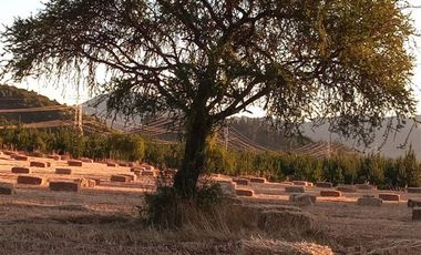 Parcela en Venta en SECTOR CARRIZALILLO ACCESO POR K 25