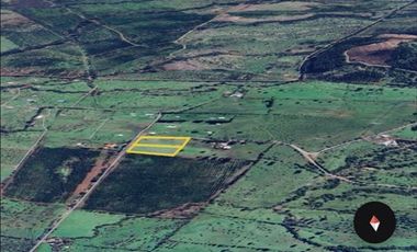 Parcela en Venta en SECTOR CARRIZALILLO ACCESO POR K 25