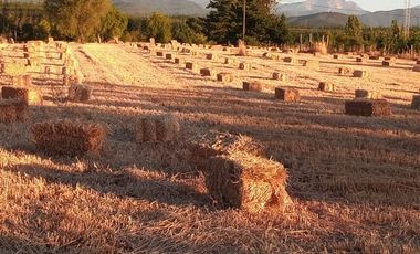 Parcela en Venta en SECTOR CARRIZALILLO ACCESO POR K 25