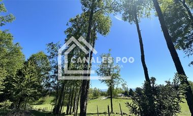 Campo Hermoso camino Panguipulli Los Lagos