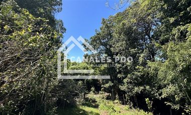 Campo Hermoso camino Panguipulli Los Lagos