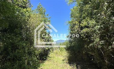 Campo Hermoso camino Panguipulli Los Lagos