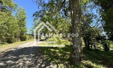 Campo Hermoso camino Panguipulli Los Lagos