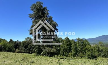 Campo Hermoso camino Panguipulli Los Lagos