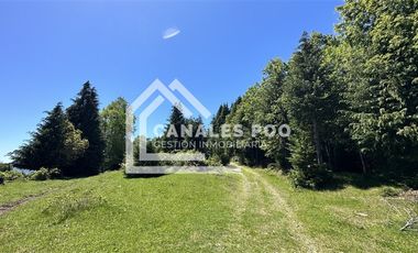 Campo Hermoso camino Panguipulli Los Lagos