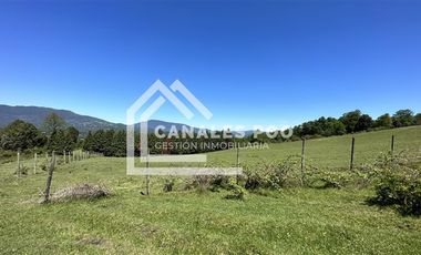 Campo Hermoso camino Panguipulli Los Lagos