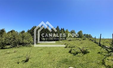Campo Hermoso camino Panguipulli Los Lagos