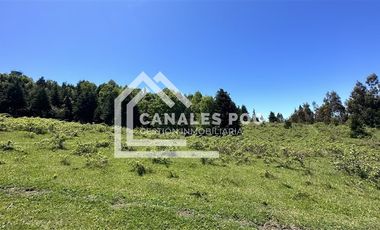 Campo Hermoso camino Panguipulli Los Lagos