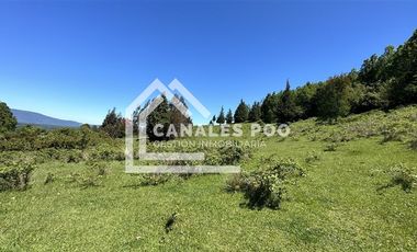 Campo Hermoso camino Panguipulli Los Lagos