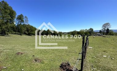 Campo Hermoso camino Panguipulli Los Lagos