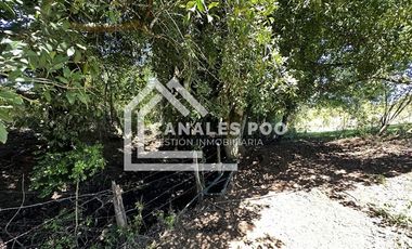 Campo Hermoso camino Panguipulli Los Lagos