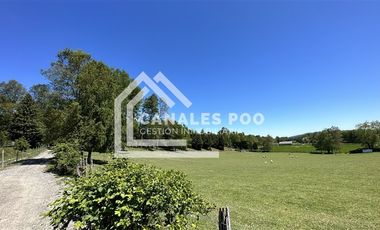 Campo Hermoso camino Panguipulli Los Lagos