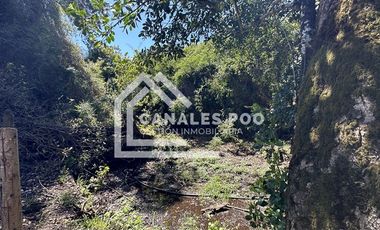 Campo Hermoso camino Panguipulli Los Lagos