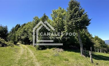 Campo Hermoso camino Panguipulli Los Lagos