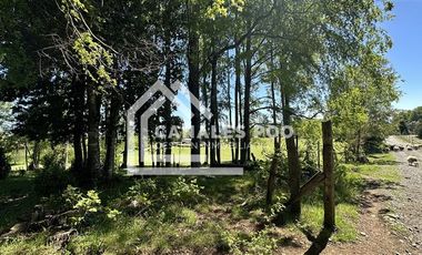 Campo Hermoso camino Panguipulli Los Lagos
