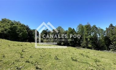 Campo Hermoso camino Panguipulli Los Lagos